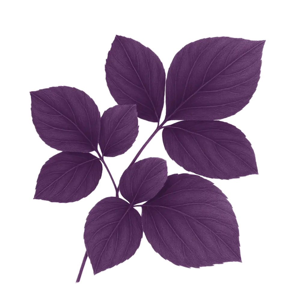 Decorative leaves